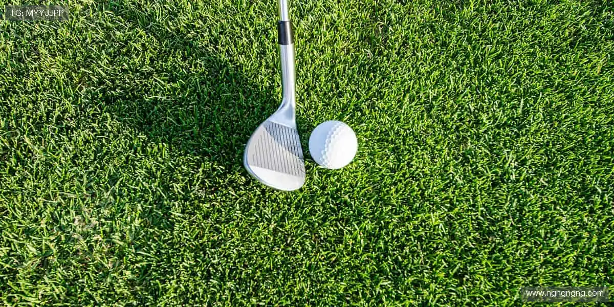 🎮 球星同款,实力加持!⚽️